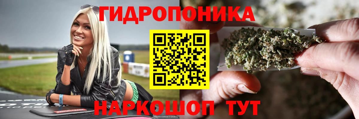 Бошки марихуана THC 21% Хасавюрт